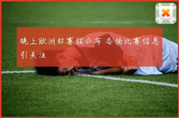 晚上欧洲杯赛程公布 各场比赛信息引关注