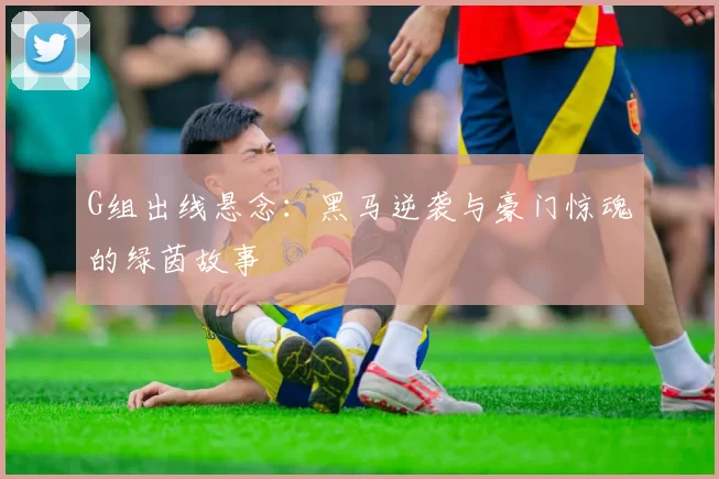 G组出线悬念：黑马逆袭与豪门惊魂的绿茵故事