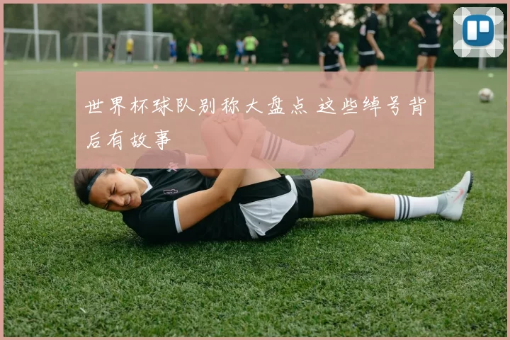 世界杯球队别称大盘点 这些绰号背后有故事