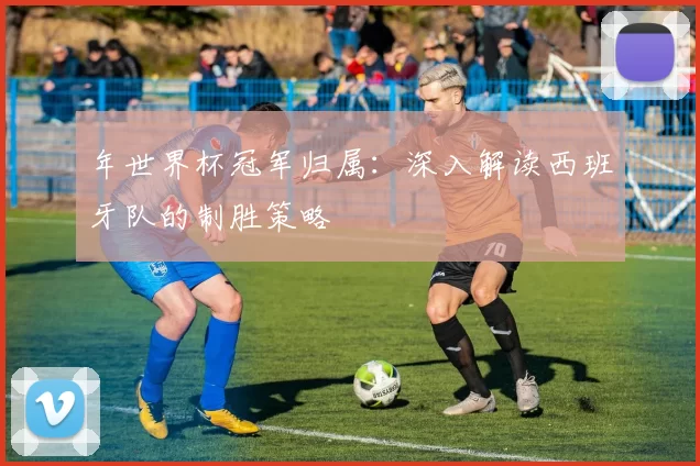 年世界杯冠军归属：深入解读西班牙队的制胜策略