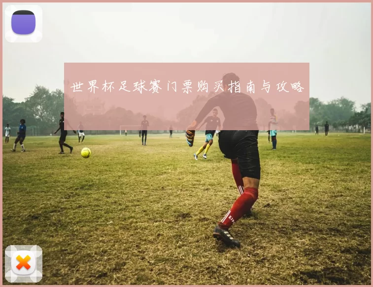 世界杯足球赛门票购买指南与攻略