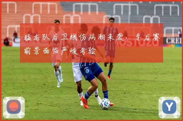 猛龙队后卫线伤病潮来袭，季后赛前景面临严峻考验