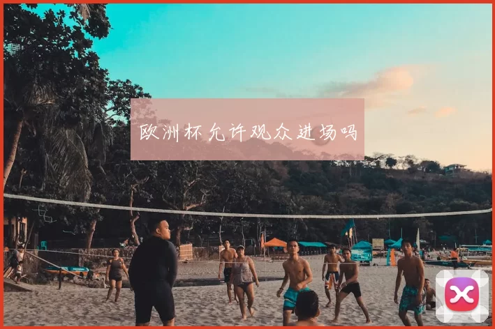 欧洲杯允许观众进场吗