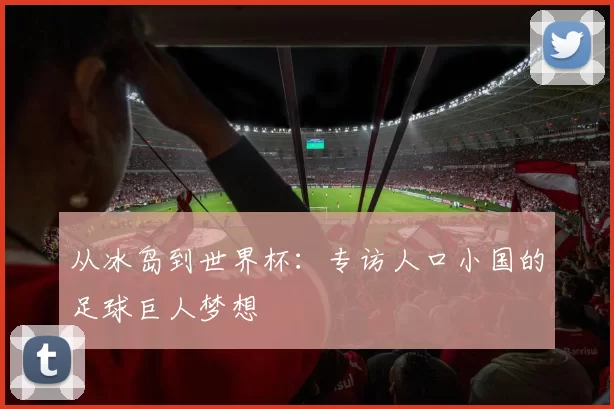从冰岛到世界杯：专访人口小国的足球巨人梦想