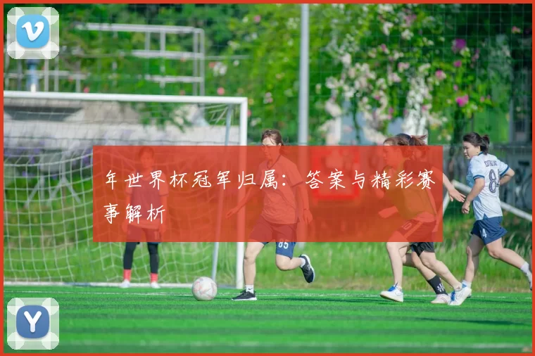 年世界杯冠军归属：答案与精彩赛事解析