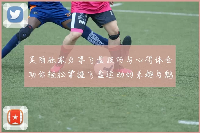 吴丽独家分享飞盘技巧与心得体会助你轻松掌握飞盘运动的乐趣与魅力